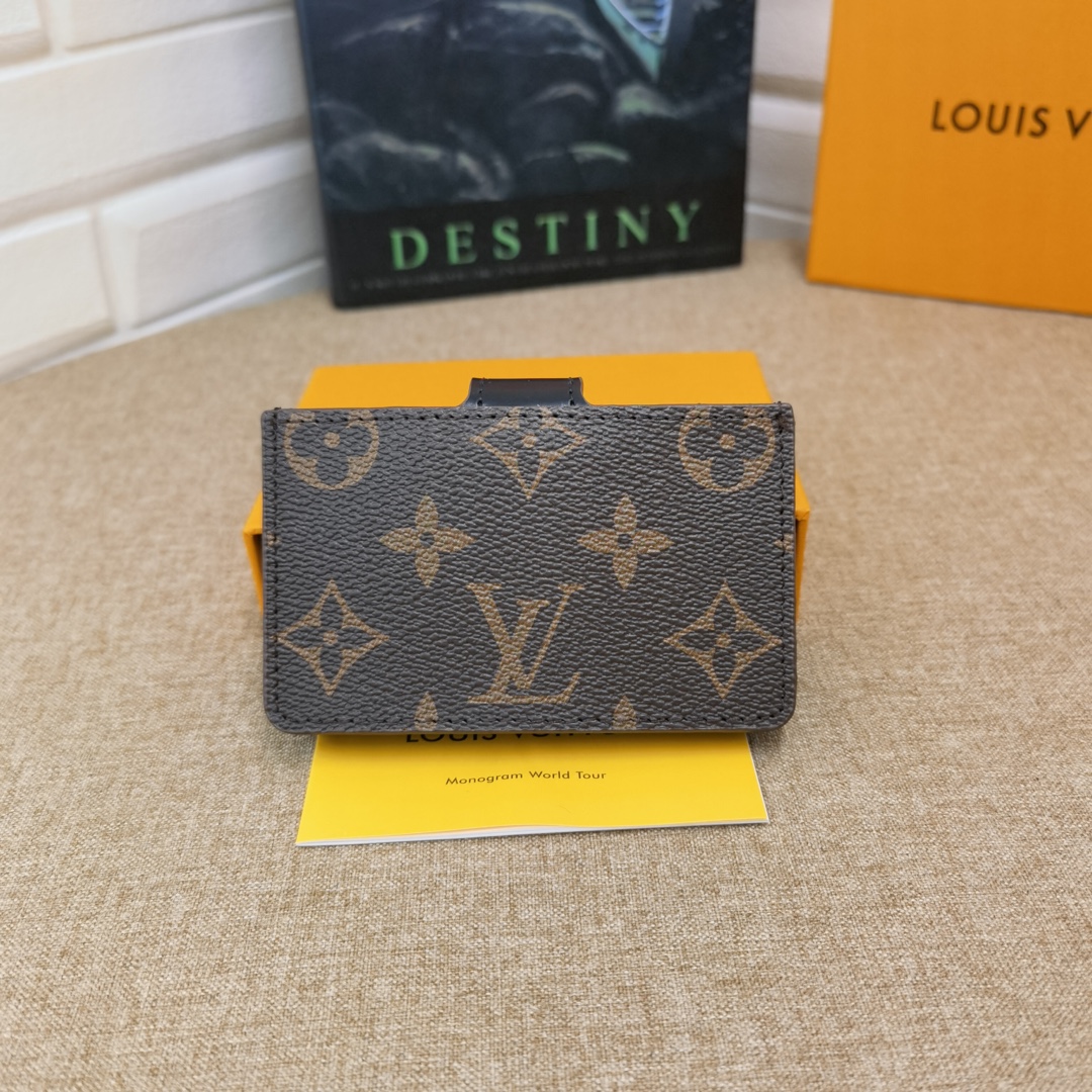 Damier card holder in pocket