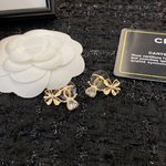 Fake
 Chanel Jewelry Earring