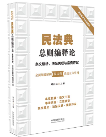 【法律】【PDF】206 民法典释论：条文缕析、法条关联与案例评议