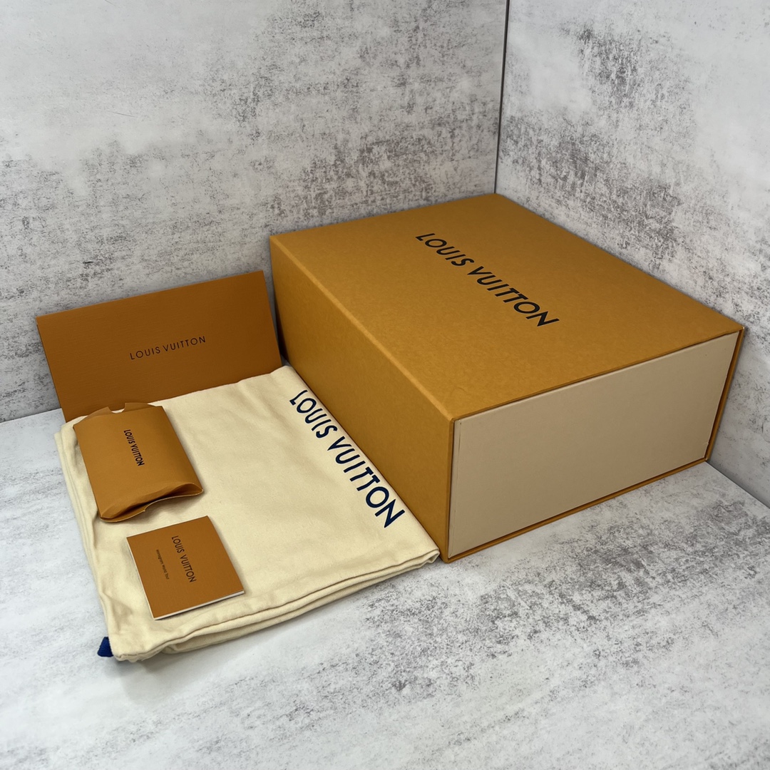 Louis Vuitton 专柜款经典鞋履 9
