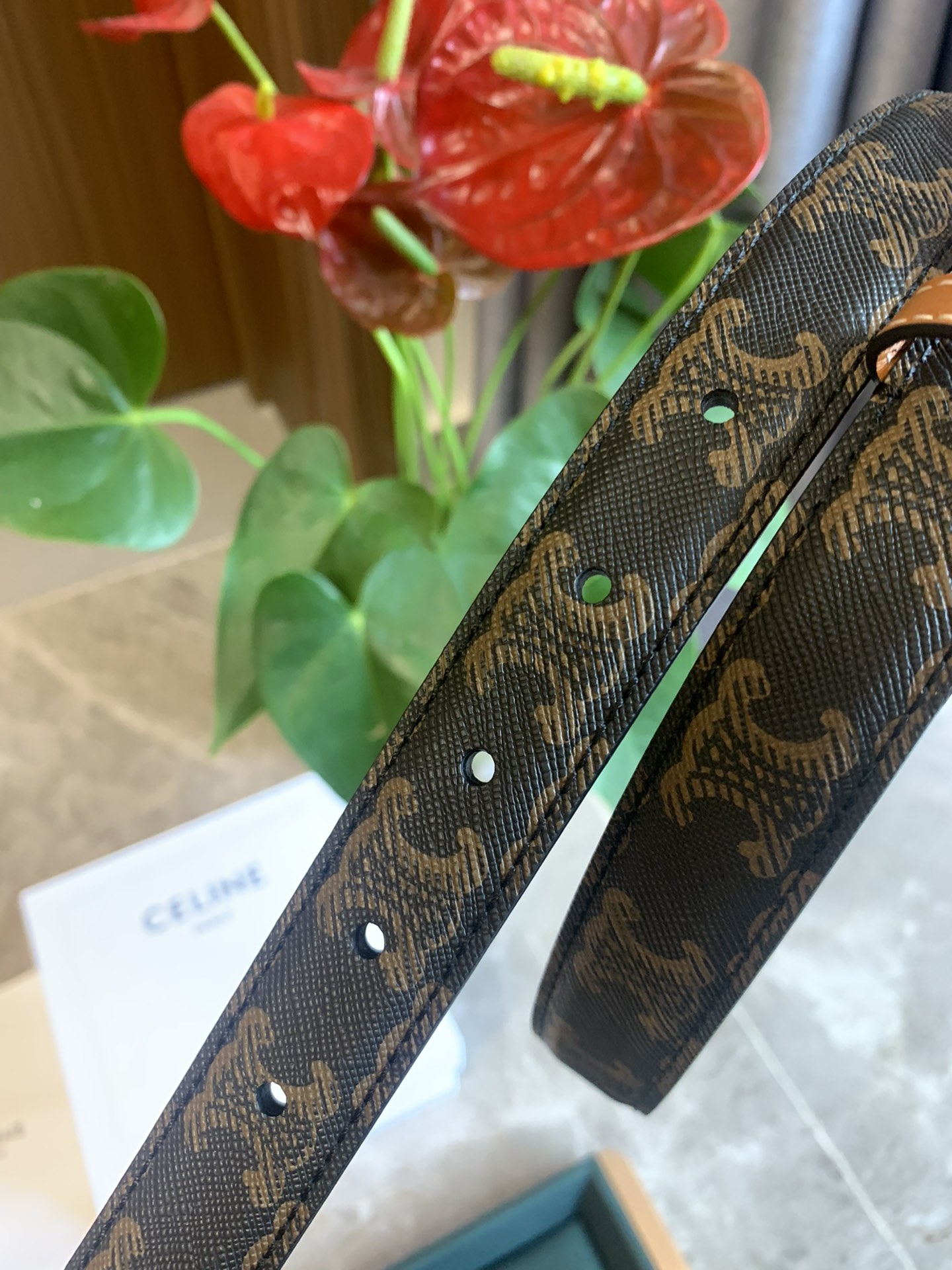 🉐️ CÉLINE 赛琳新款🆕 凯旋门腰带 TRIOMPHE 光滑小牛皮腰带 对版溜金金属件 宽2.5c