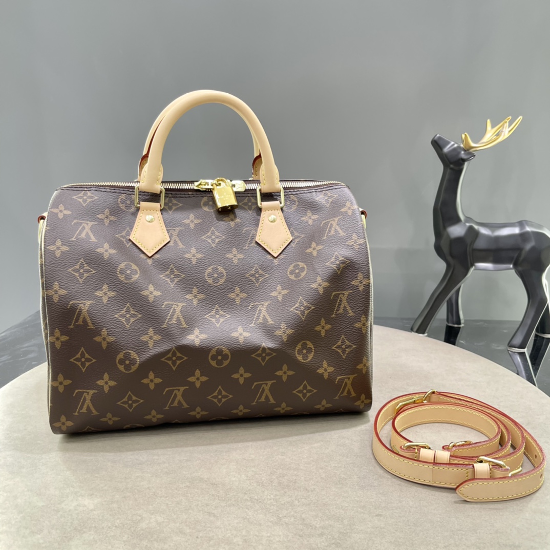 Louis Vuitton LV Speedy Bags Handbags Damier Ebene Canvas m41112