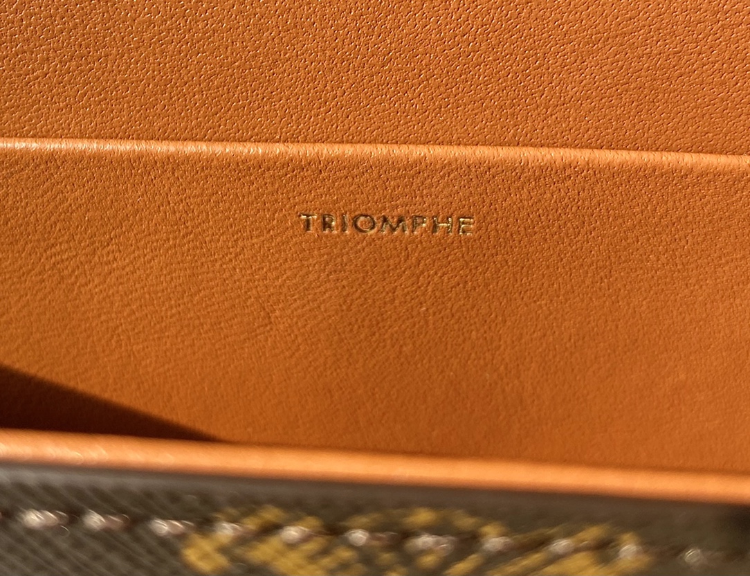 CELINE赛琳CUIR TRIOMPHE 凯旋门链条肩背包199242