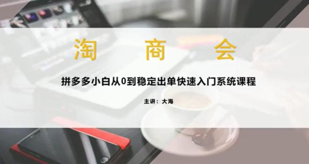 【电商上新】032.大海《拼多多从0到稳定出单系统课程》（萌萌家）[红包]