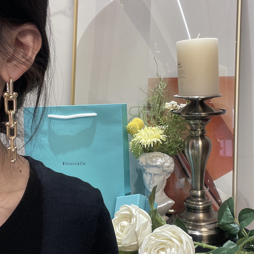 NO:631837,T's hardwear high-quality chain earrings, celebrity style, 88260, earrings, Cardia high-end jewelry19860909T家hardwear 高品质链条耳环,明星同款,88260,,earrings,卡迪亚高端饰品,Jewelry