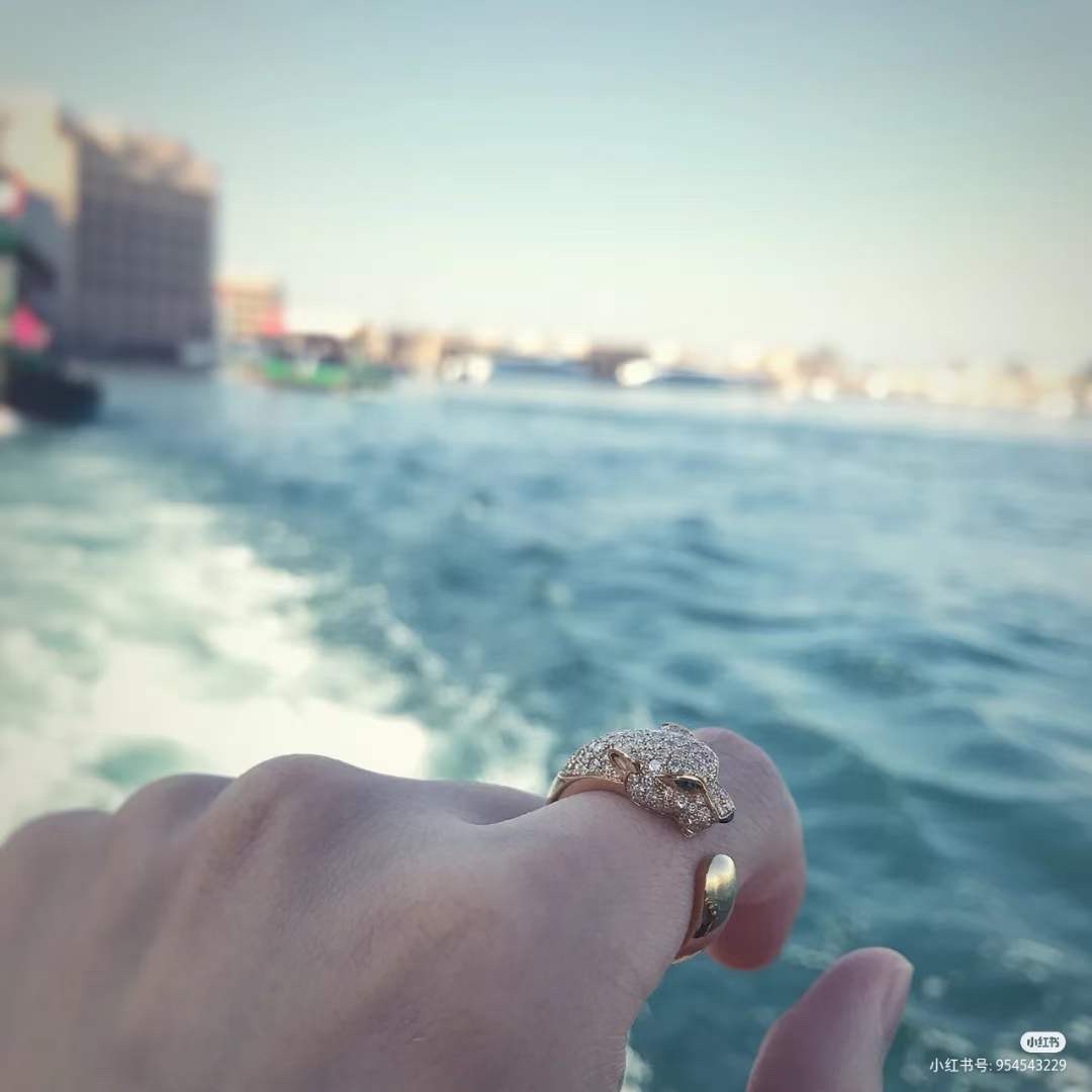 Cartier 又是一款超 的戒指 全钻的豹子