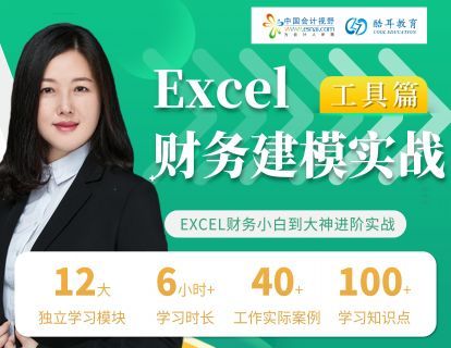 《中国会计视野-Excel财务建模实战训练营》