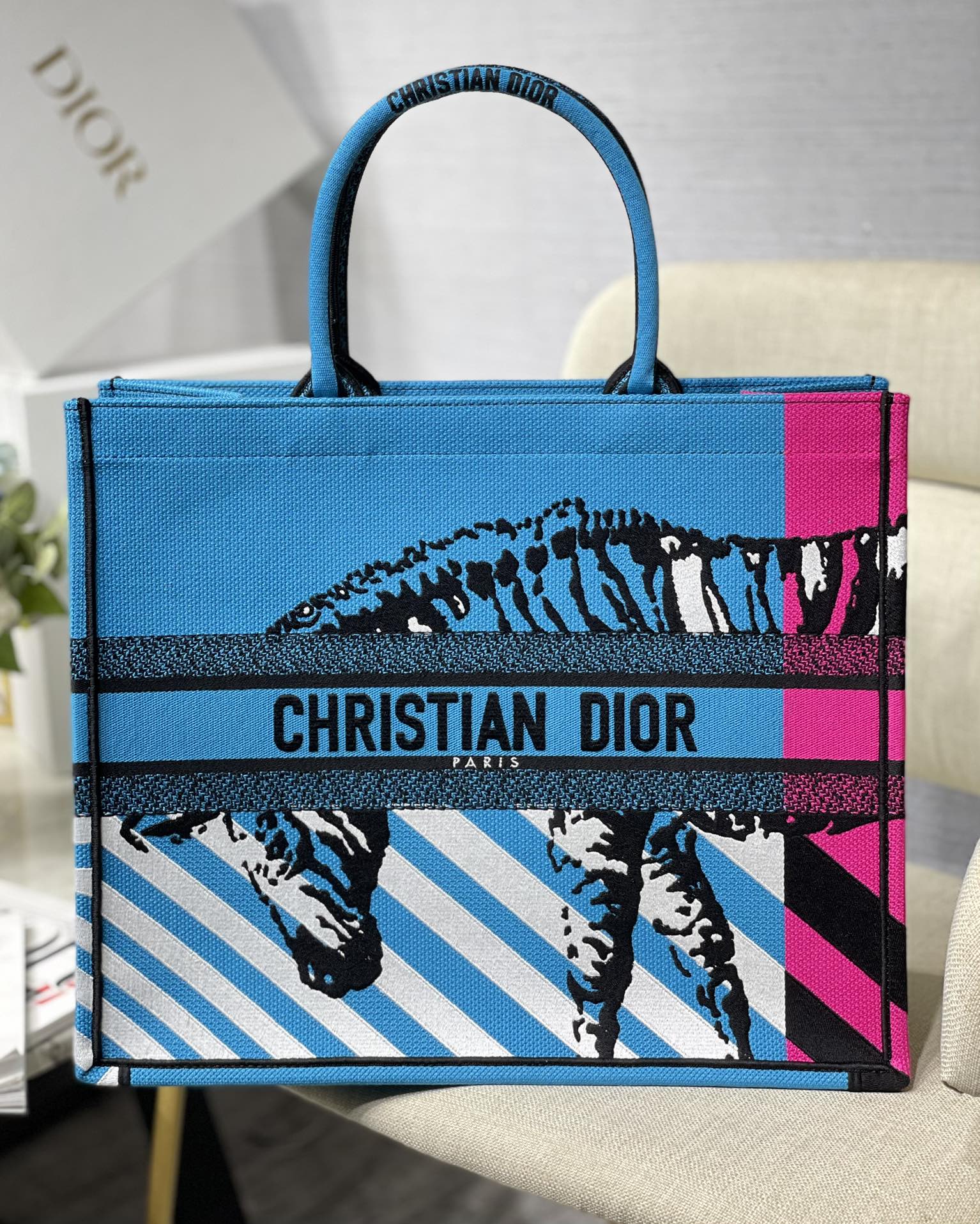 DIOR Book Tote цветная зебра вышивка тоут