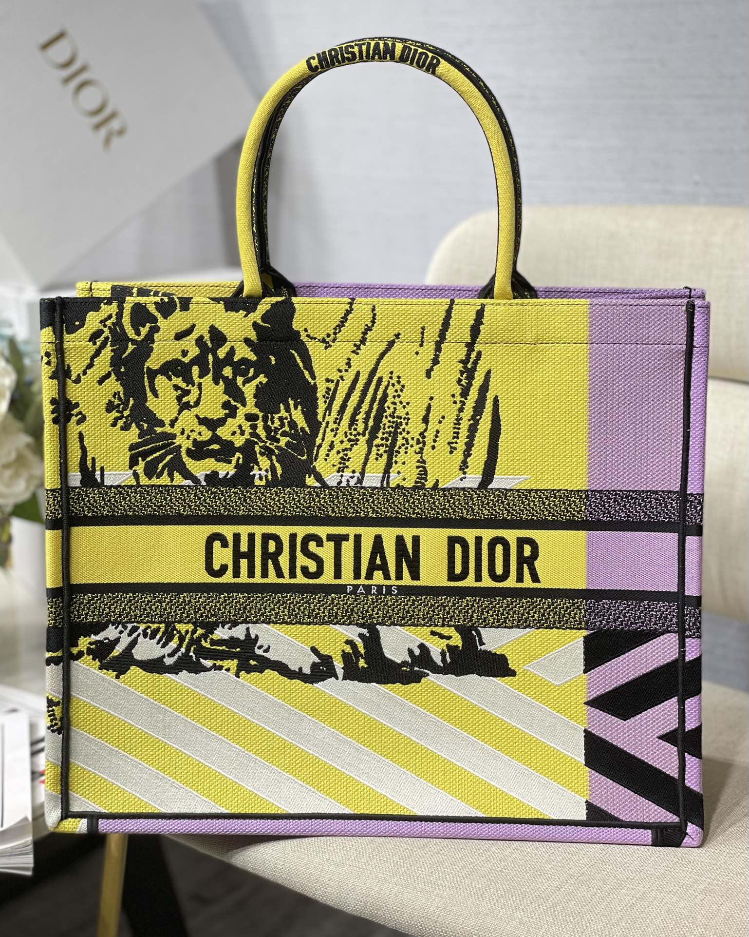 DIOR Book Tote Multicolor Lion Embroidery Large Tote Bag