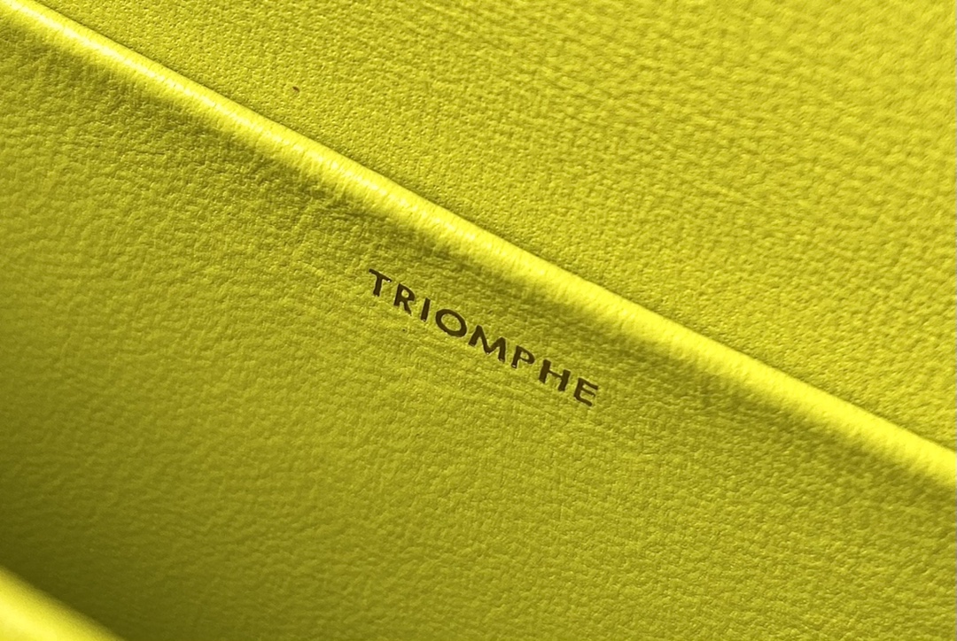 CELINE赛琳CUIR TRIOMPHE 凯旋门链条肩背包199242