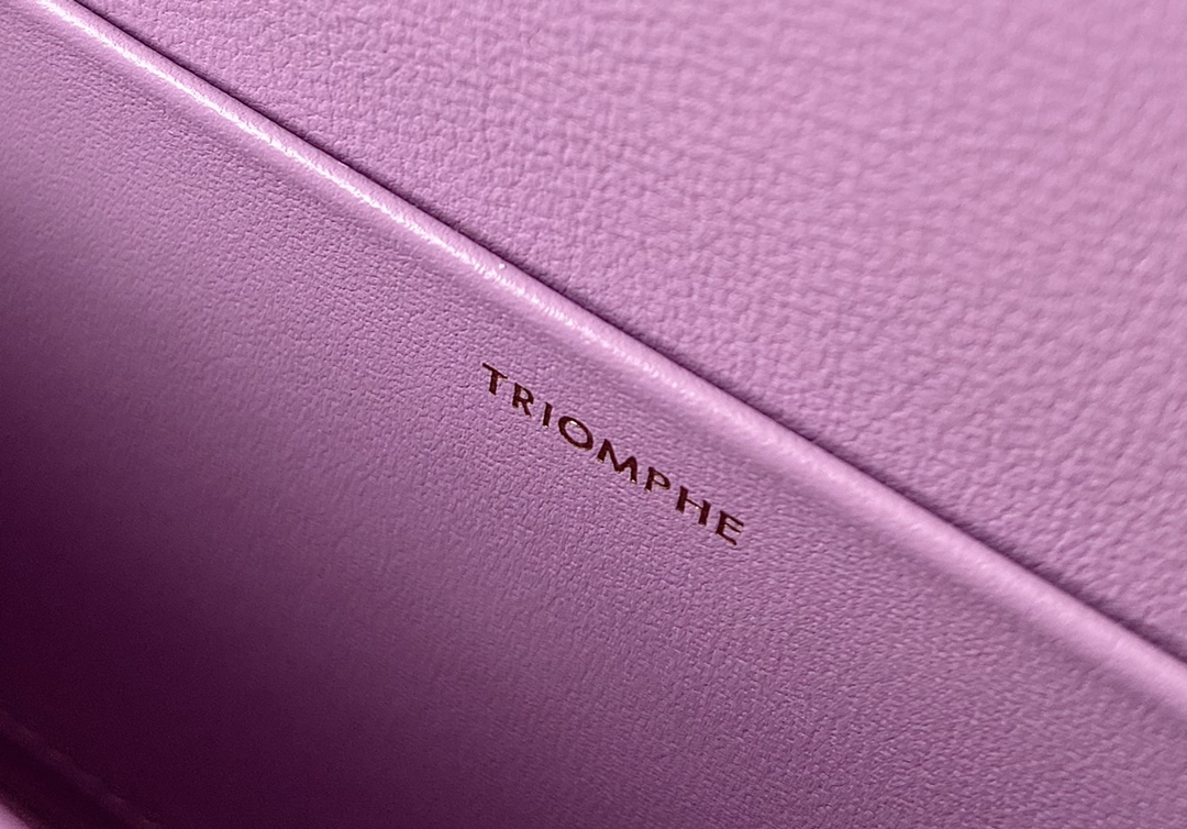 CELINE赛琳CUIR TRIOMPHE 凯旋门链条肩背包199242