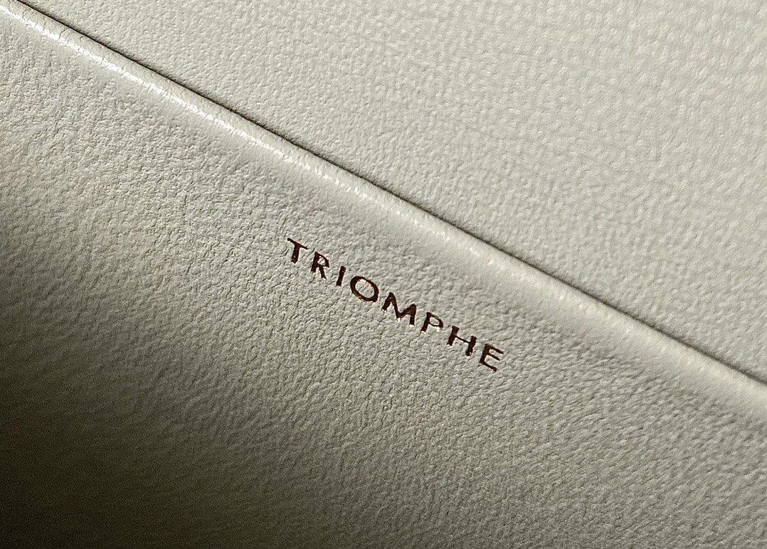 CELINE 秀场新品 最新经典款链条腋下包 197992灰