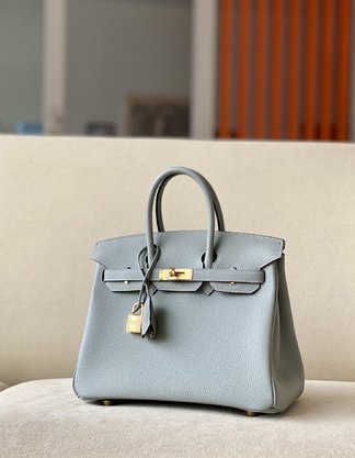 Hermes Birkin Bags Handbags Platinum Calfskin Cowhide BK250400