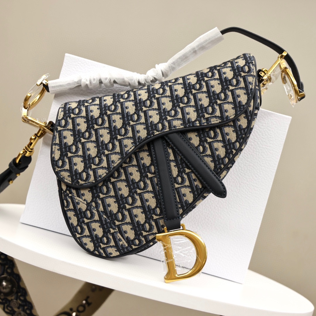 J5   Dior迪奥马鞍包