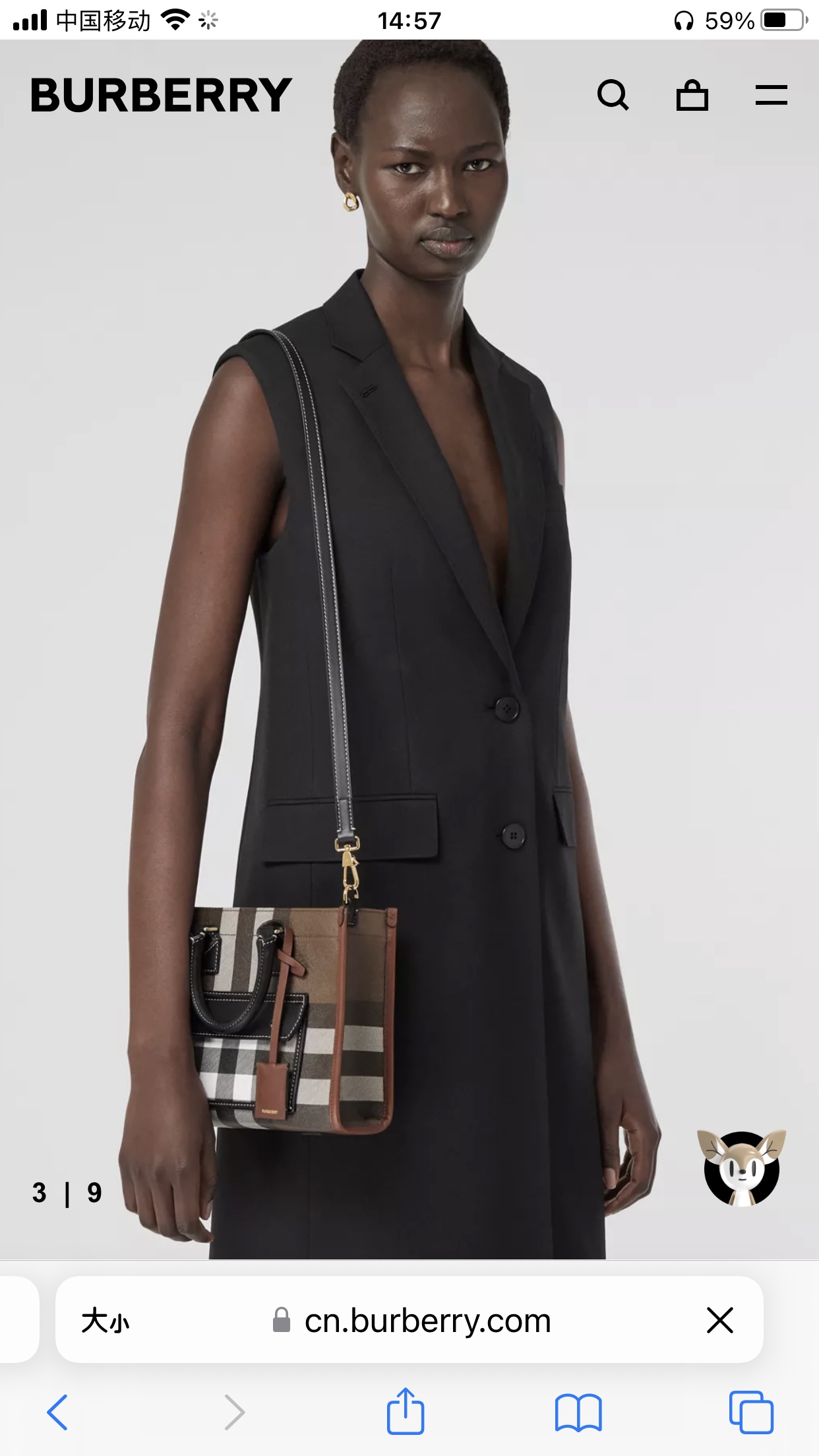 Burberry Official website picture