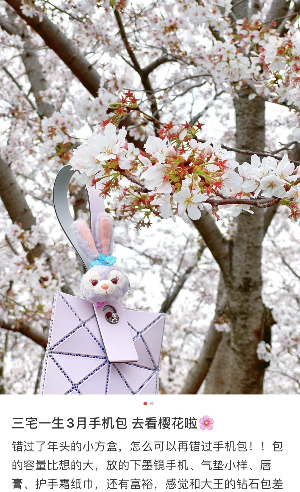 三宅一生Issey Miyake手机包AG607