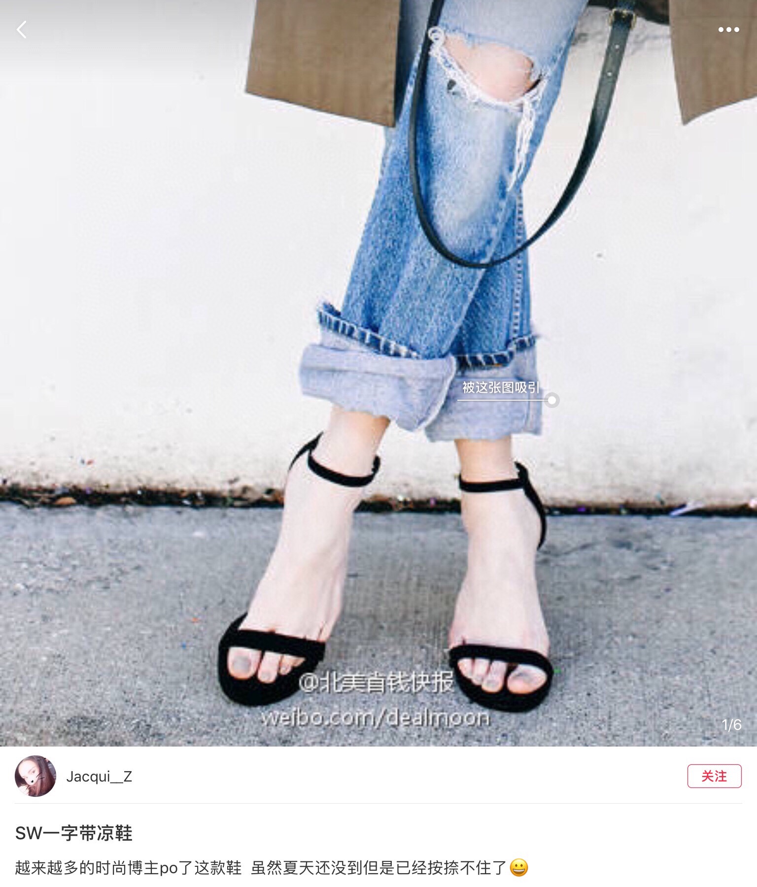 [Miu Miu Women