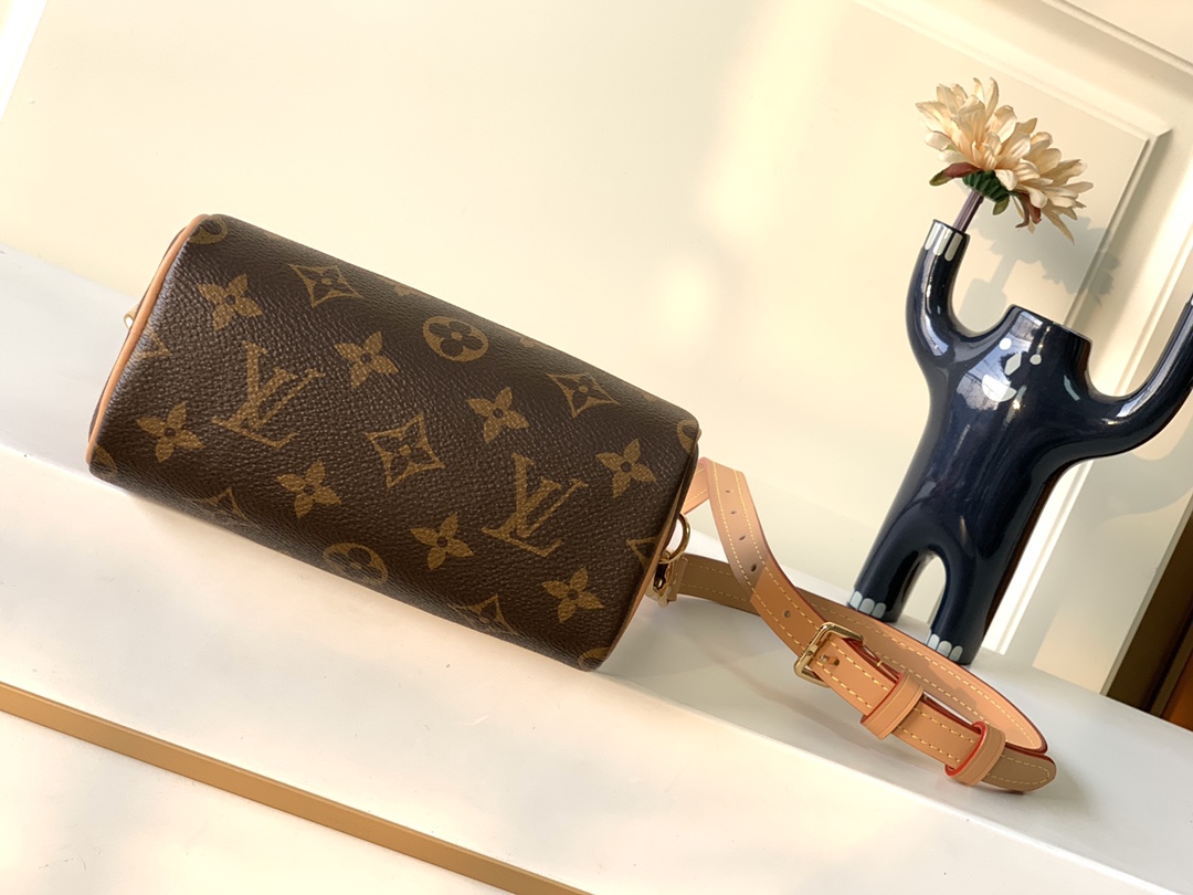 Louis Vuitton M81085 Nano Speedy