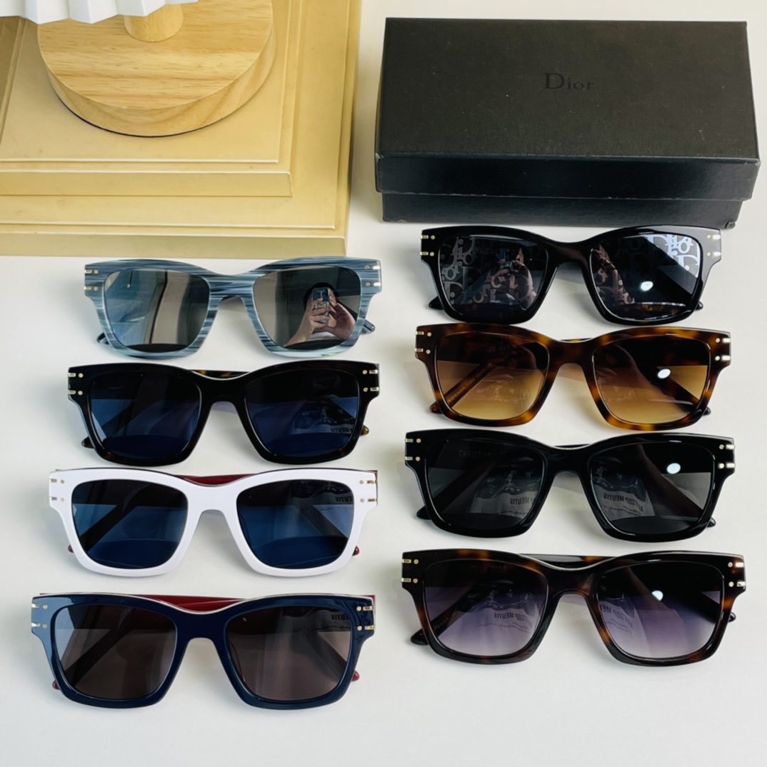 Dior Sunglasses Casual