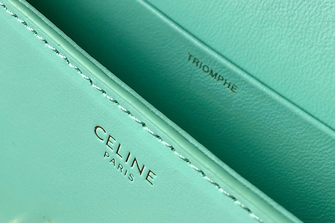 CELINE赛琳凯旋门全皮系列小牛皮肩背包194143