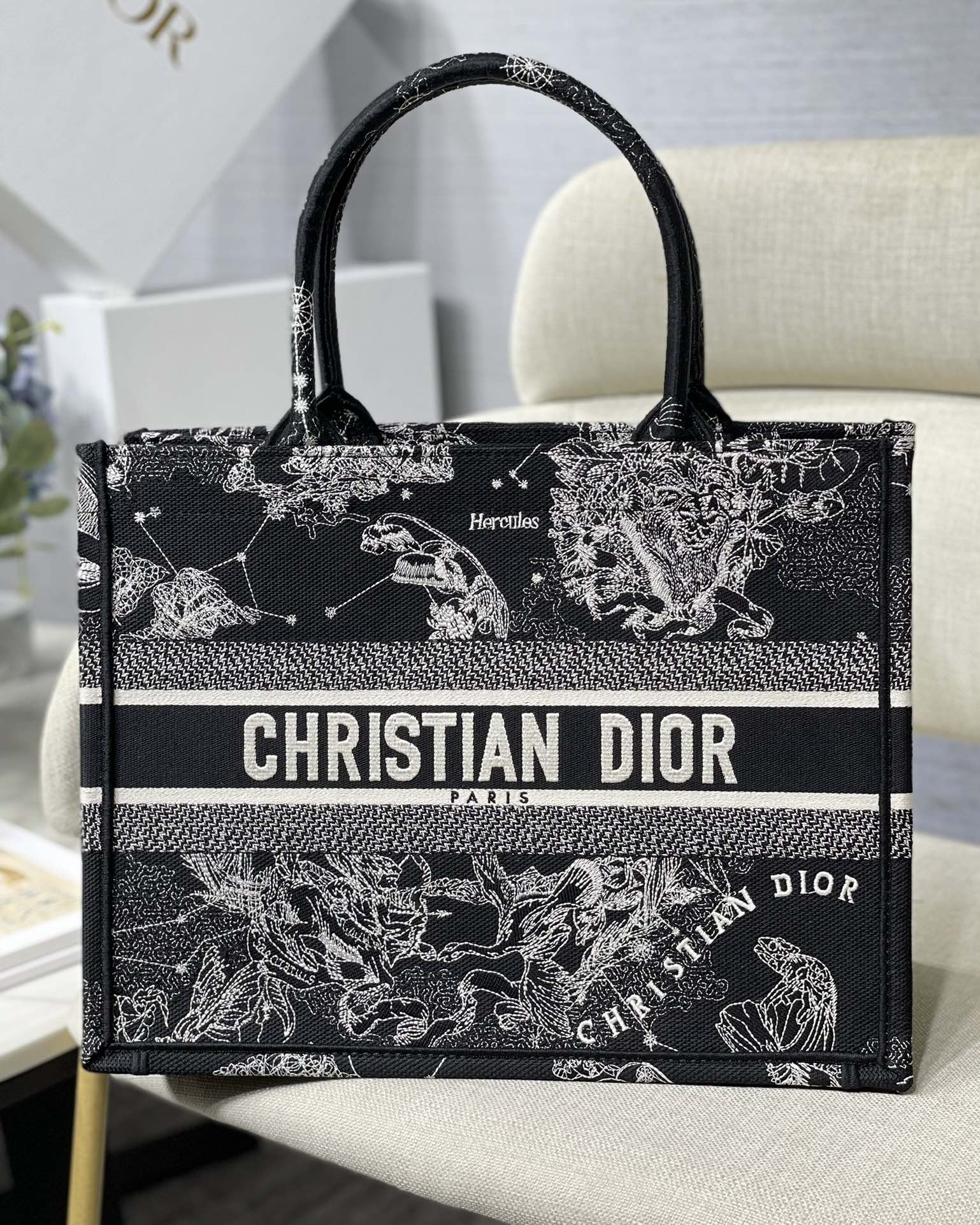DIOR Book Tote 星座图案 中号 托特包