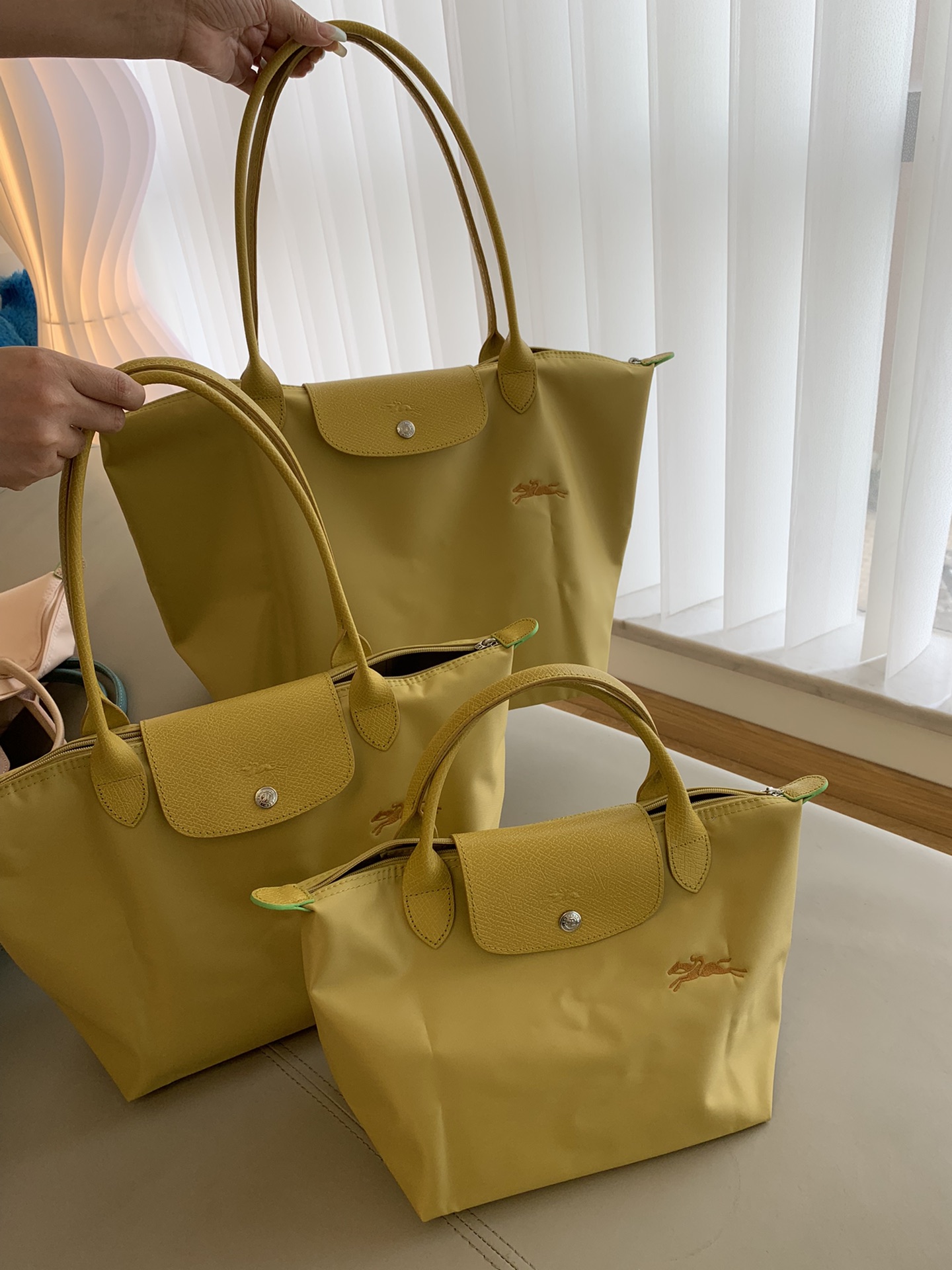 Longchamp 70th anniversary limited edition, OEM, authentic stuff! !
