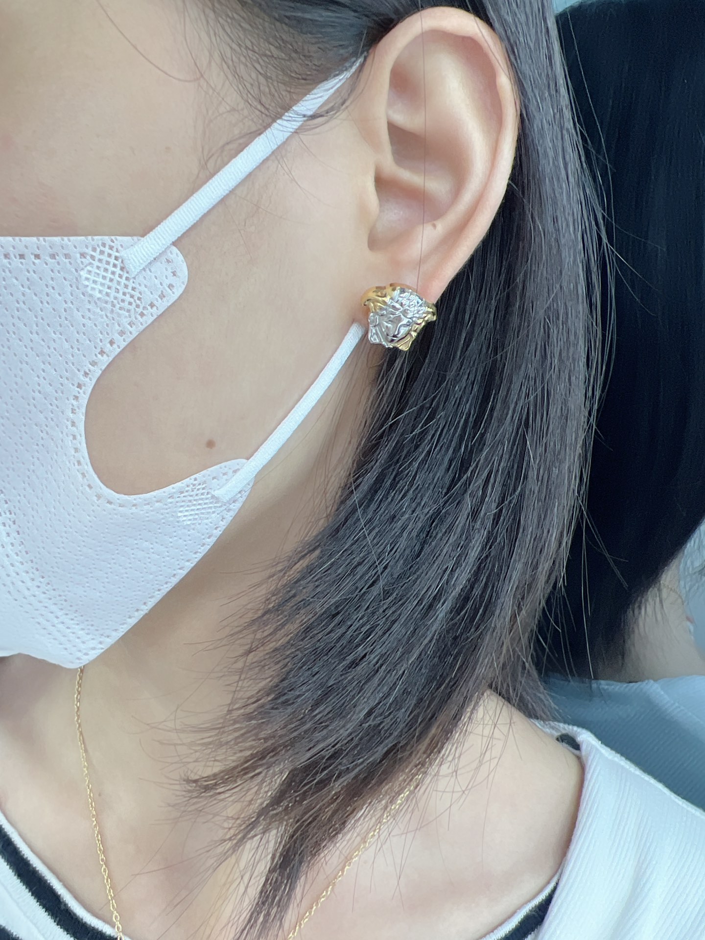 Luxurious Pen for Special Occasions: Van Sage’s Synchronous Ear Nailing with Medusa - 图片 5