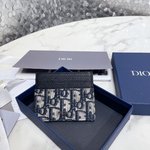Dior Wallet Card pack Every Designer
 Oblique