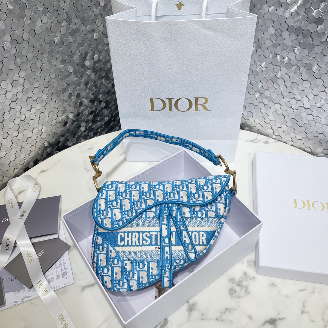 Dior Saddle Fashion
 Handbags Saddle Bags Gold Embroidery Vintage Canvas Oblique