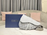 Dior Saddle Bags Grey Canvas Cotton Cowhide Nylon Diamond
