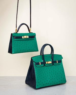 Hermes Birkin Bags Handbags Mini