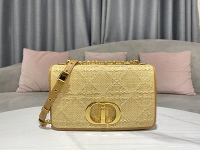 Dior Caro Bags Handbags Straw Woven Chains
