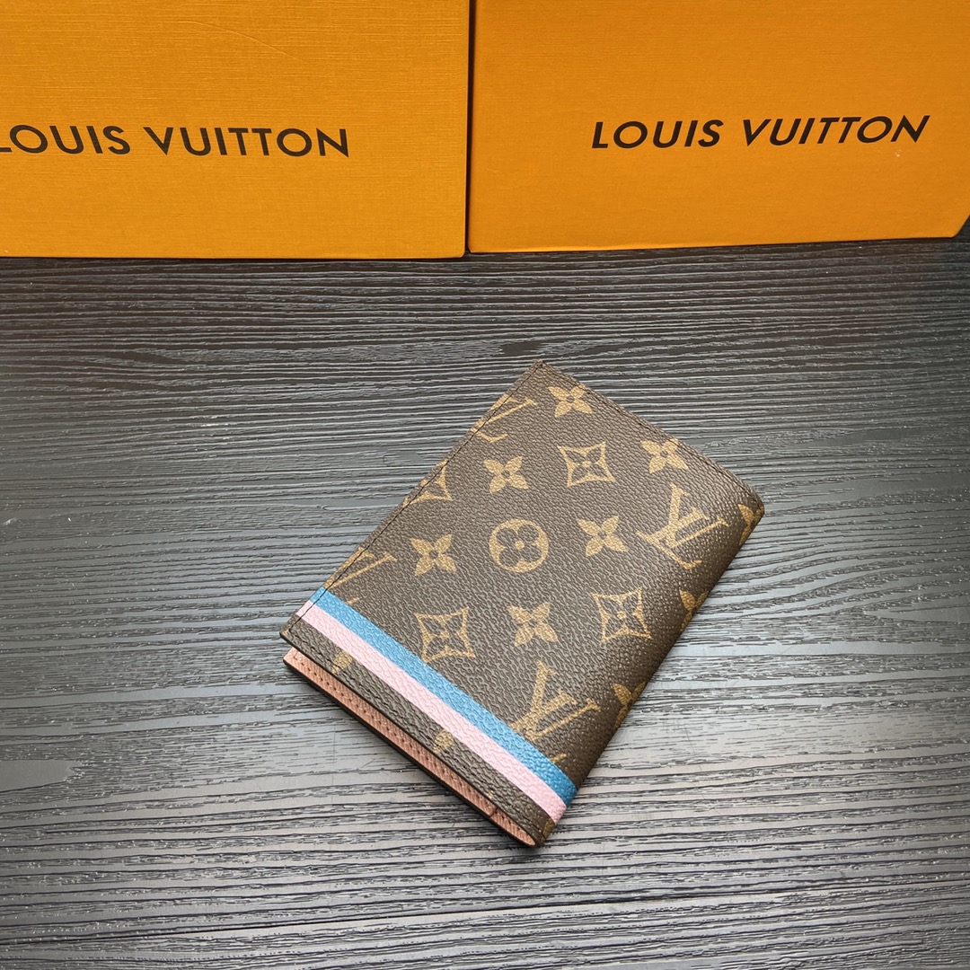 Close-up of the card slots inside the passport holder.