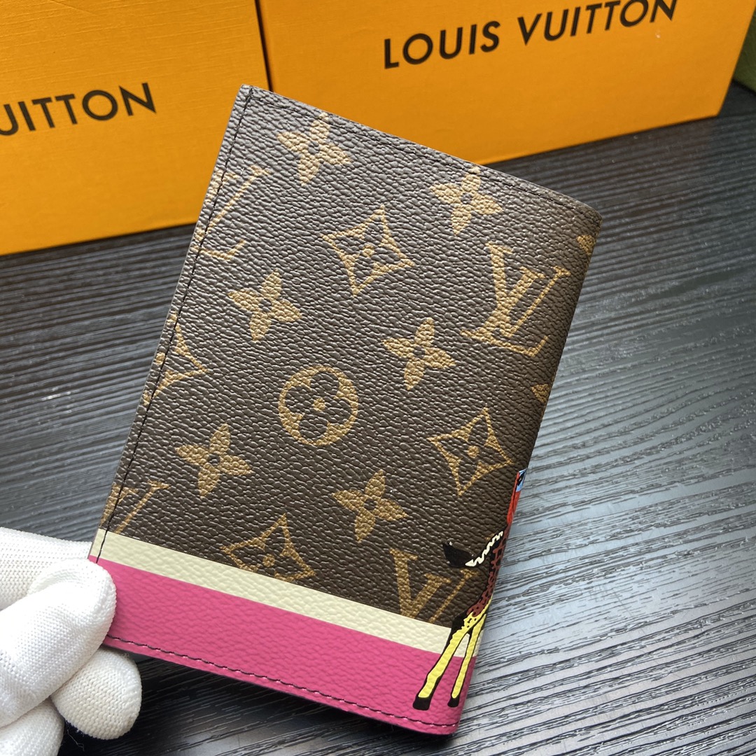 Different colors passport holder