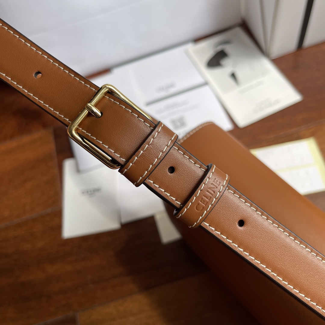 Celine New product launched 2024 new model ~ embossed Arc de Triomphe. This model is based on the Arc de Triomphe BOx, with some changes. The har