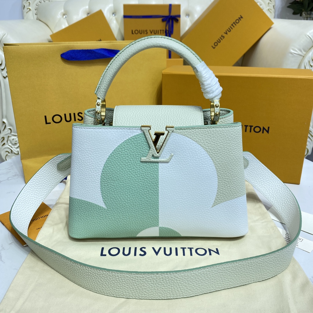 Louis Vuitton LV Capucines Bags Handbags Elephant Grey Green Pink Taurillon M59699