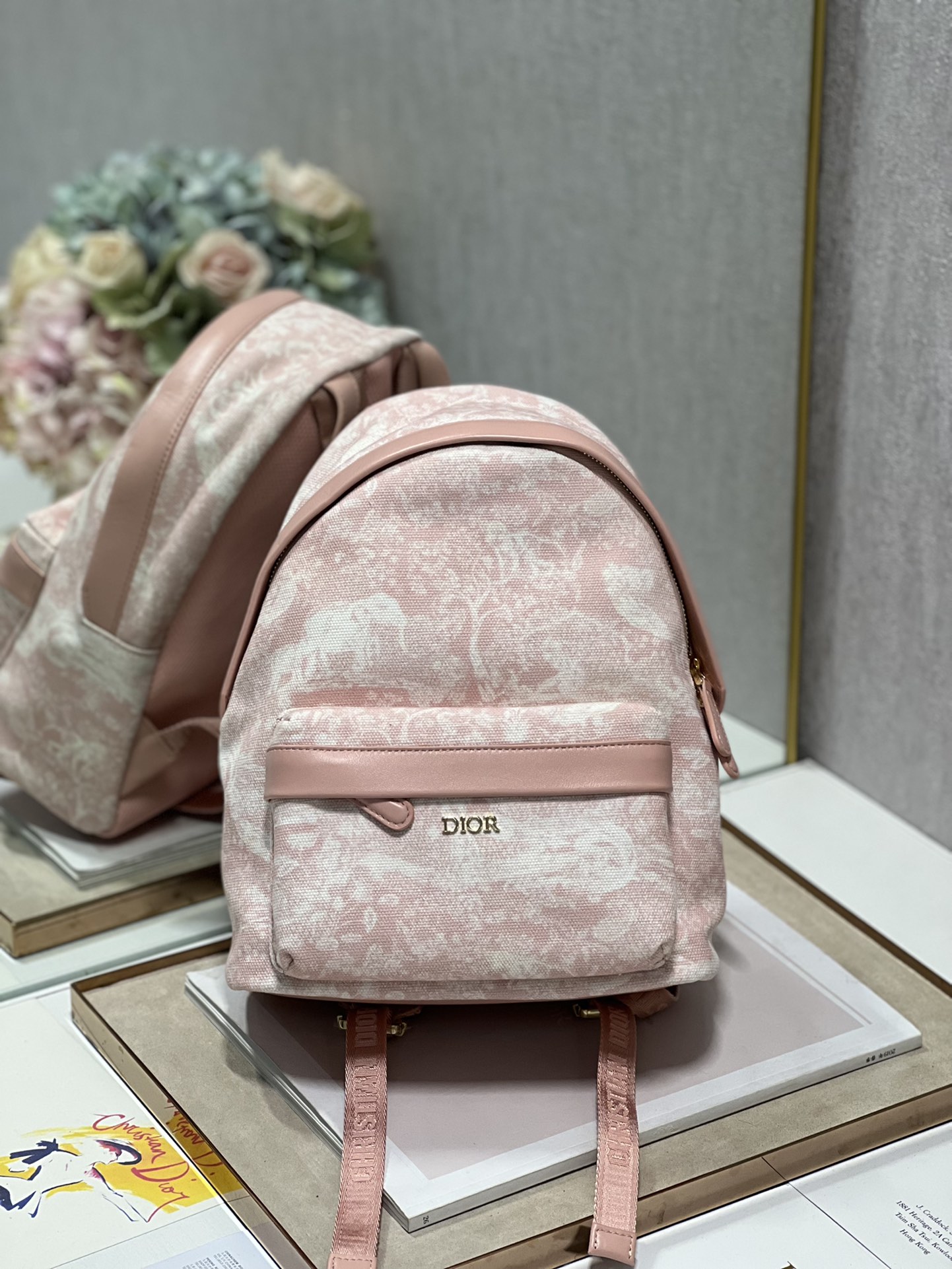 Dior Bags Backpack Pink Embroidery Unisex Canvas Oblique