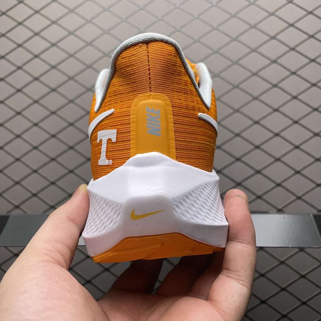 NKZoomPegasus39登月3