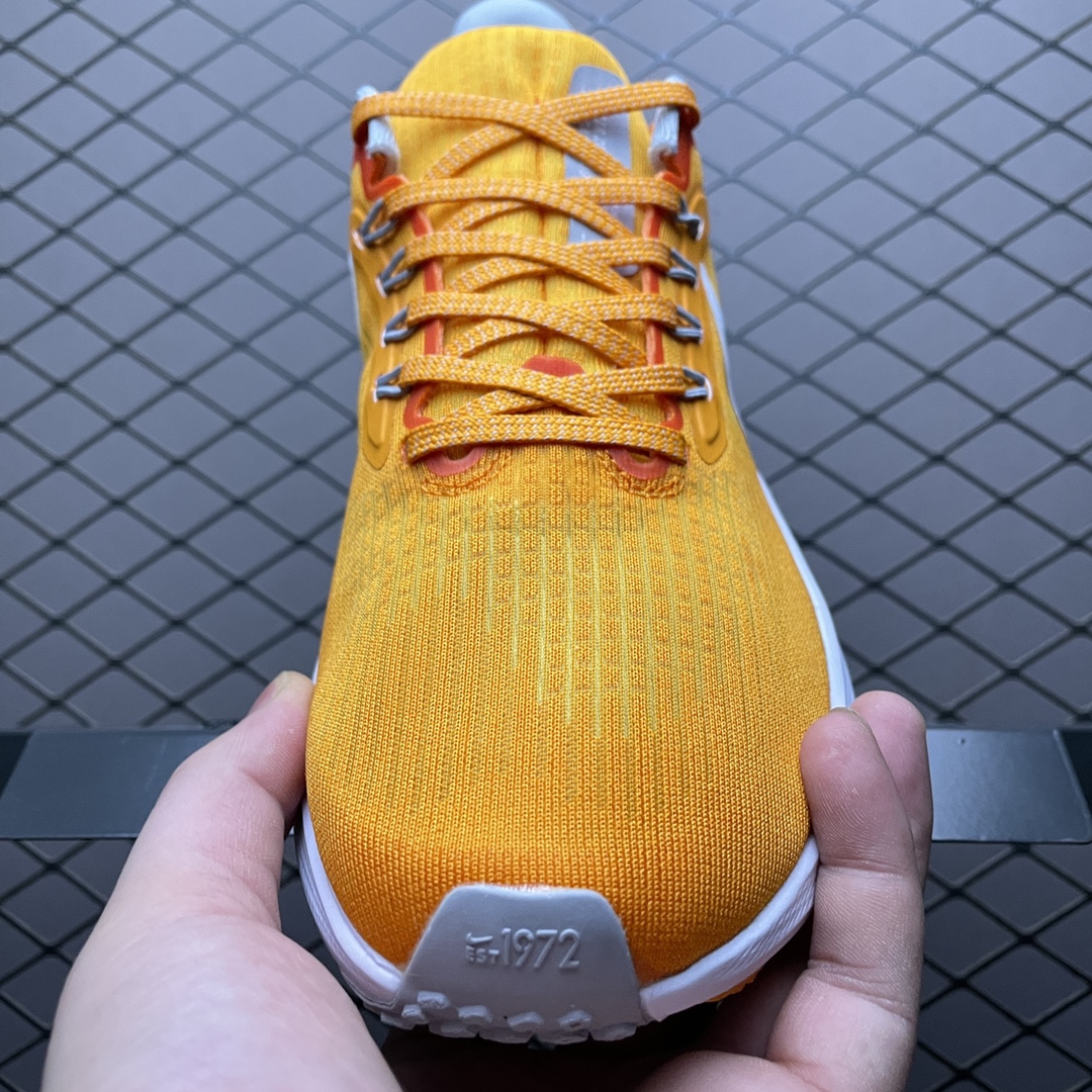 NKZoomPegasus39登月3