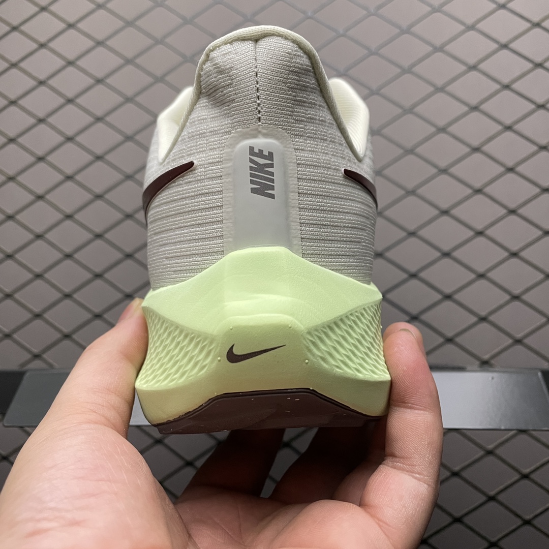 NKZoomPegasus39登月3