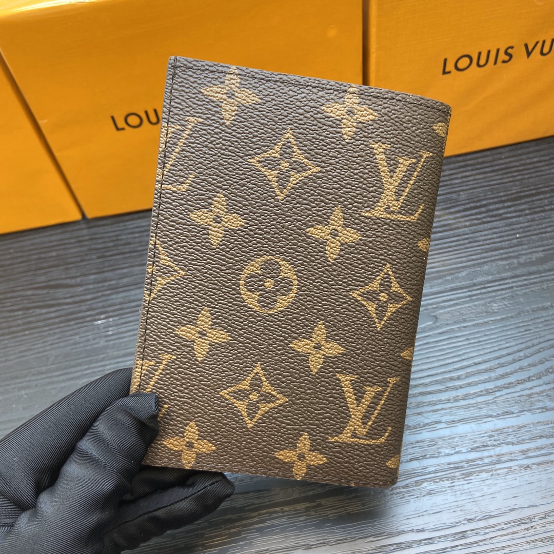 Minimalist leather passport wallet holding in hand