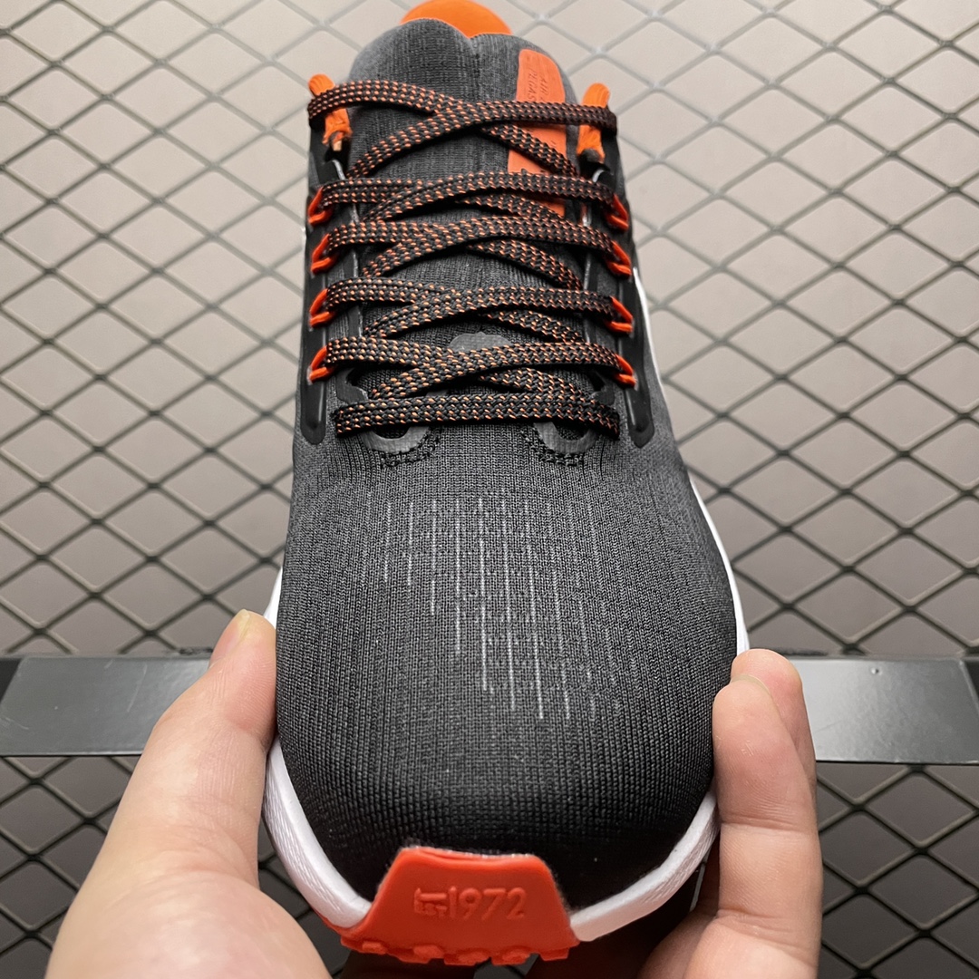 NKZoomPegasus39登月3