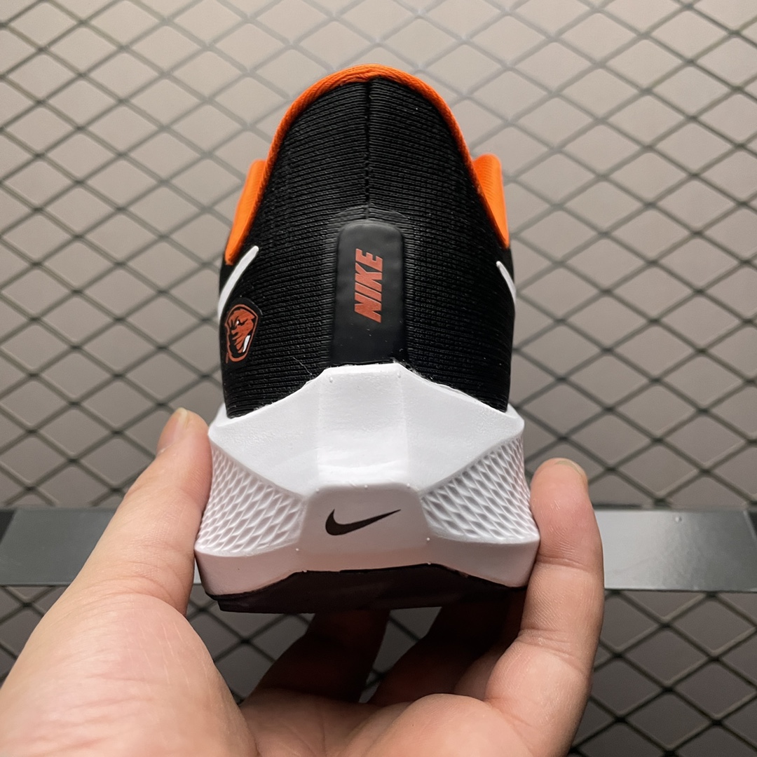 NKZoomPegasus39登月3