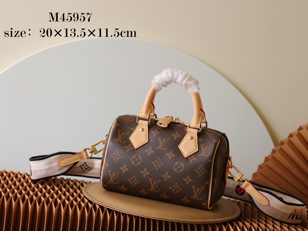 Louis Vuitton LV Speedy Bags Handbags Damier Ebene Canvas Fall/Winter Collection Fashion M45957