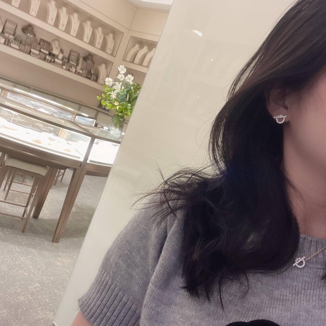 NO:631260,H's hoop earrings necklace, best-selling model, special price necklace and earrings respectively 88220, necklace, Cartier high-end jewelry19860909H家圈圈耳钉项链,热卖款,特惠价项链耳钉分别88220,,necklace,卡迪亚高端饰品,Jewelry