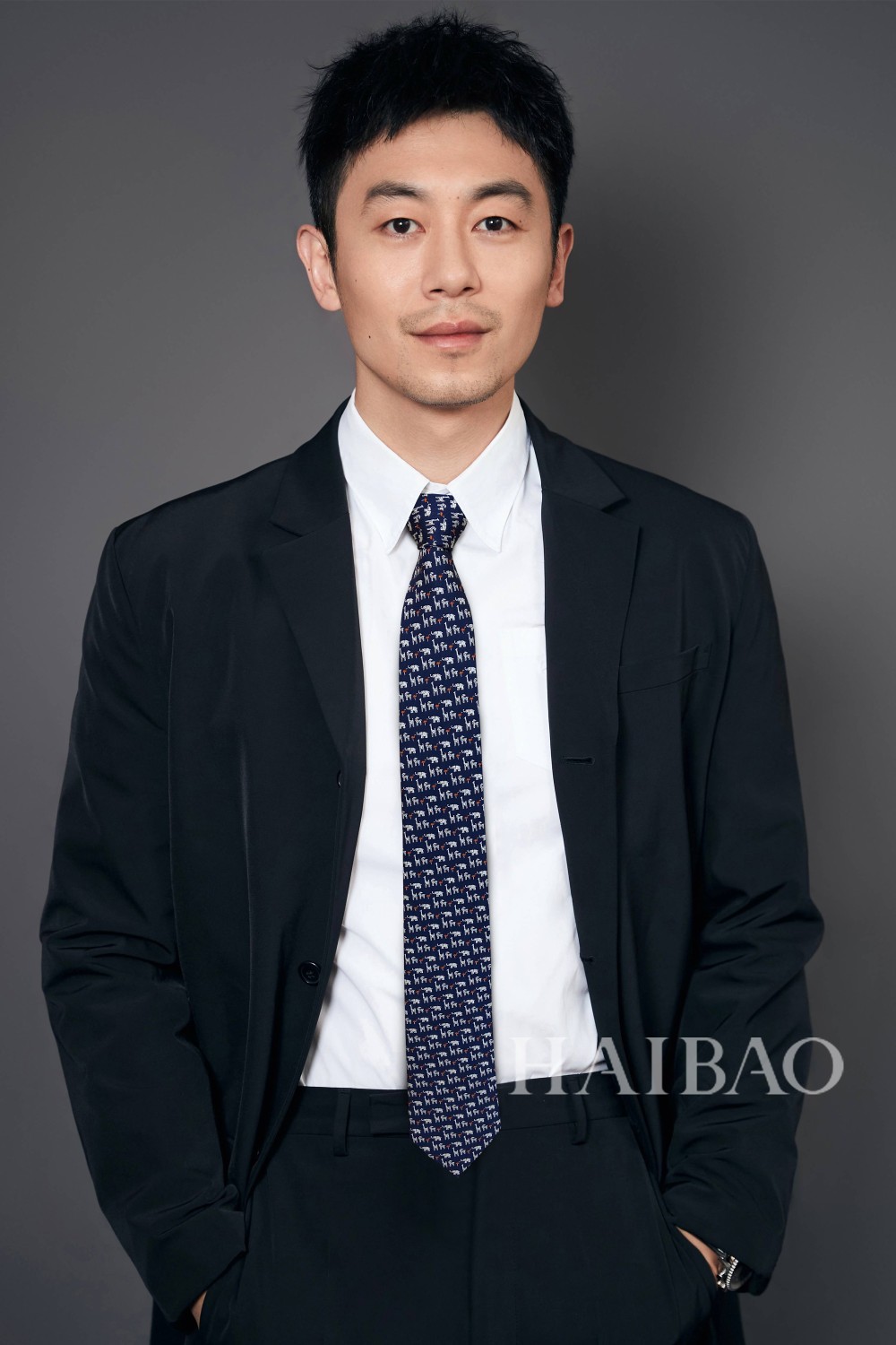 Hermes爱马仕100%顶级斜纹真丝大象印花领带