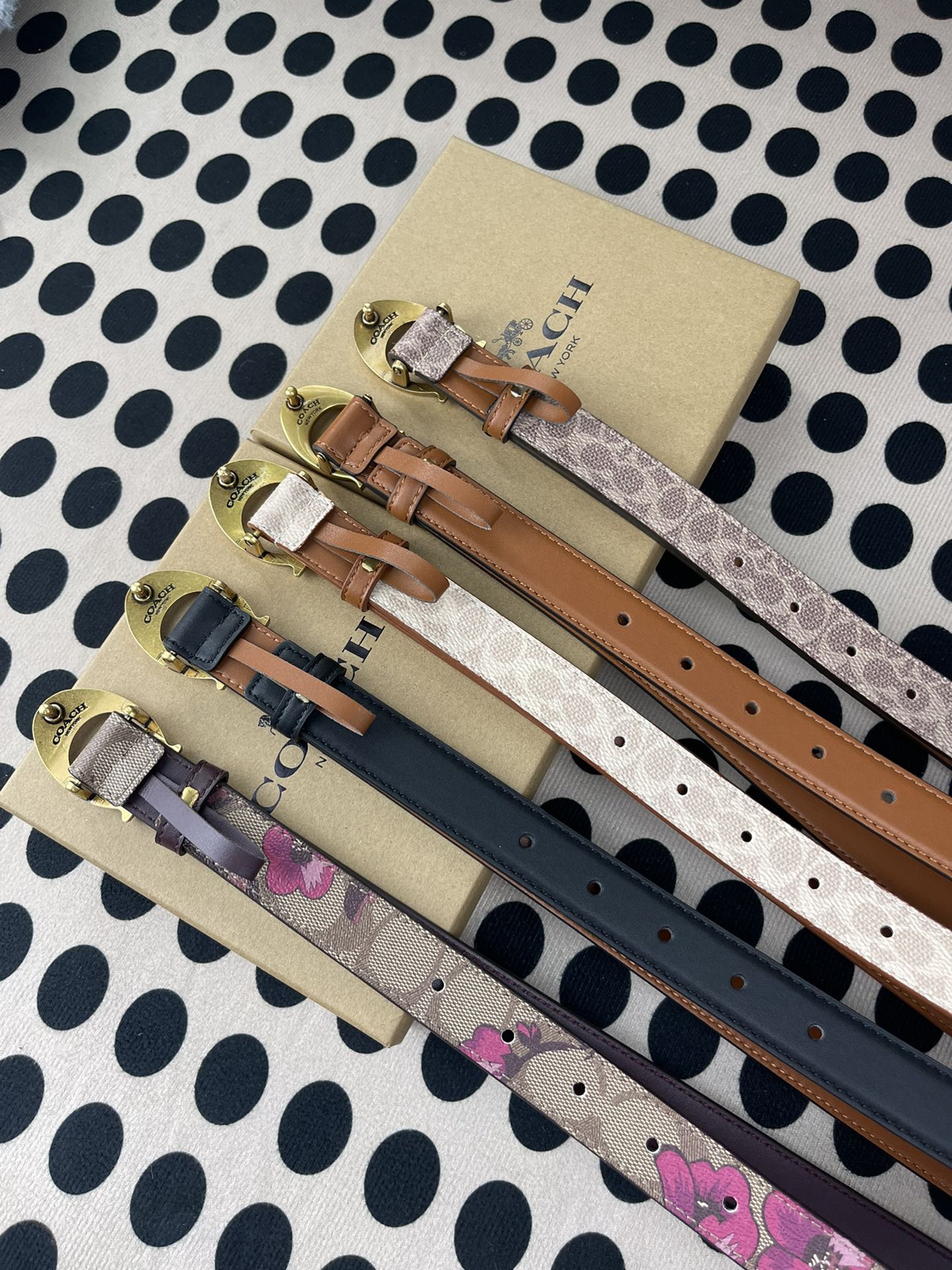 Coach ～新款 到货了coach蔻驰F83960腰带——终于