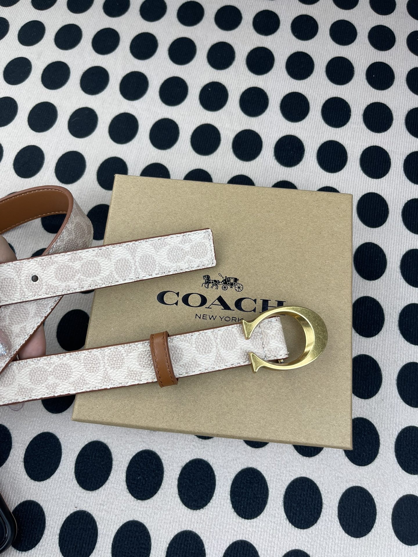 Coach ～新款 到货了coach蔻驰F83960腰带——终于