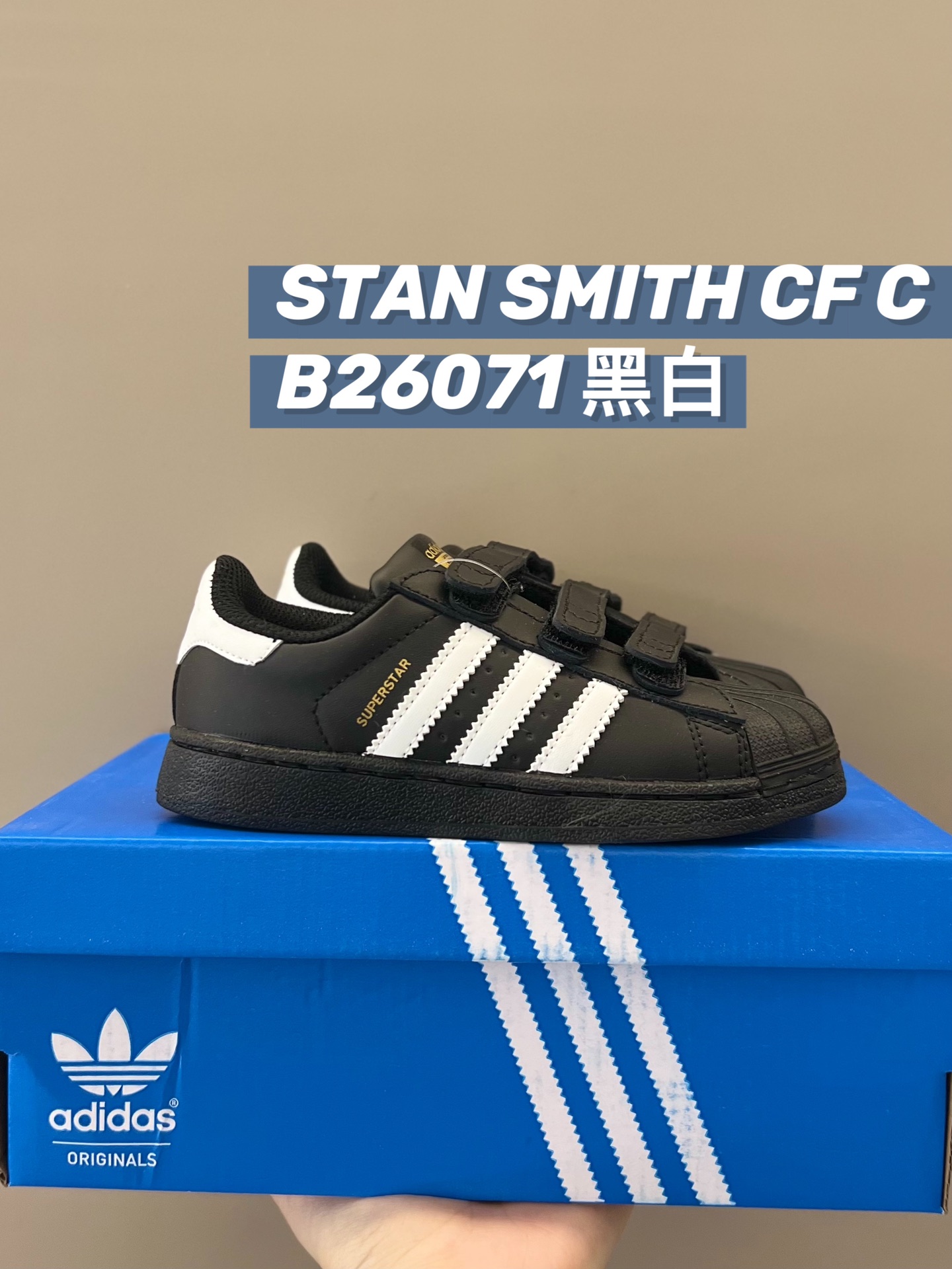 图片[5]-🅜🅒 AD贝壳头童鞋22-37码 现货秒发✈️工厂活动至月底⚠️冲！！！-选品中心