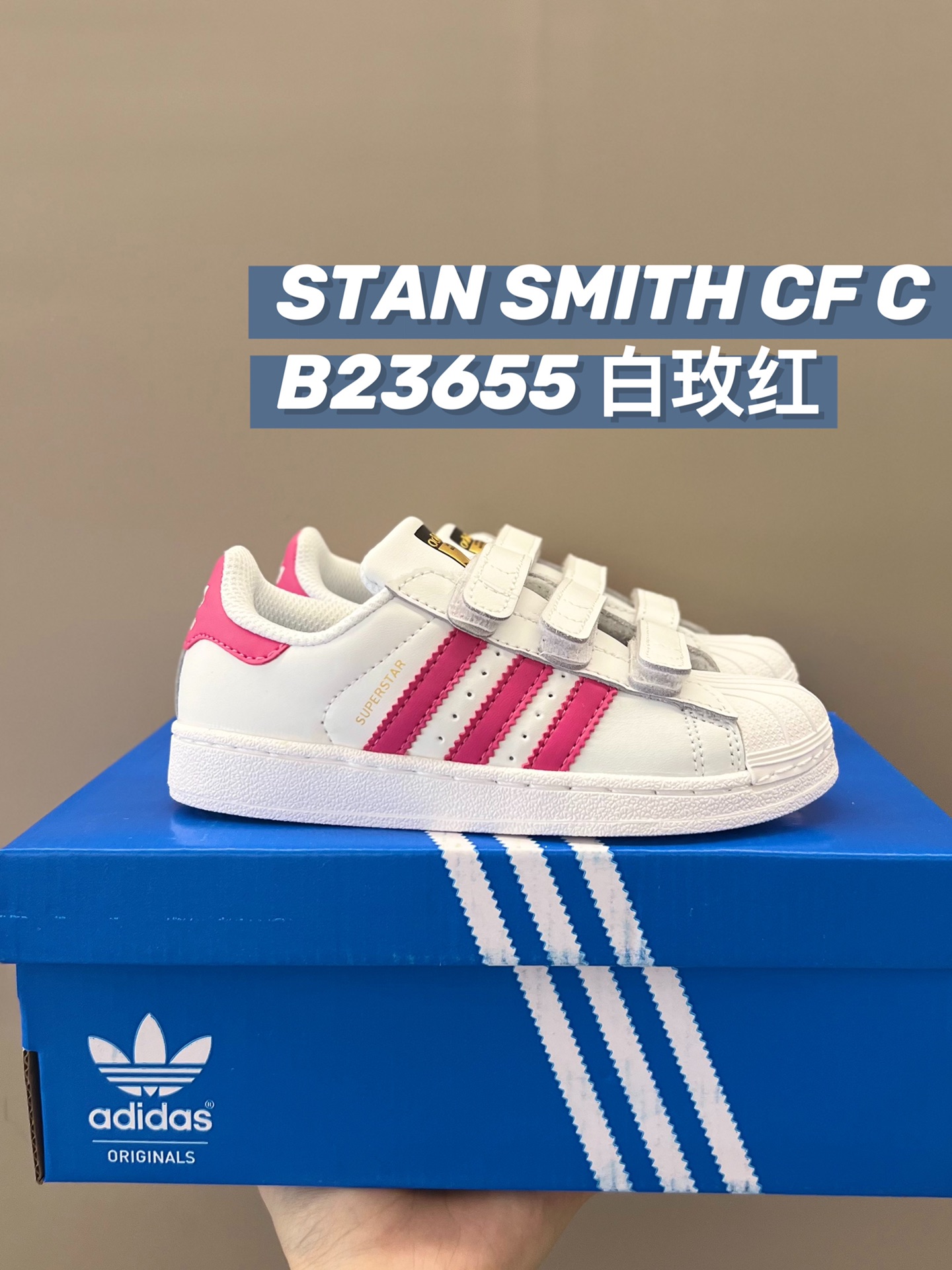 图片[8]-🅜🅒 AD贝壳头童鞋22-37码 现货秒发✈️工厂活动至月底⚠️冲！！！-选品中心